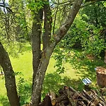 Momino Vila Avren