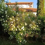 Momino Vila Avren