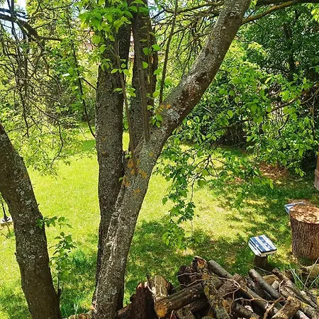 Momino Луксозна вила Avren