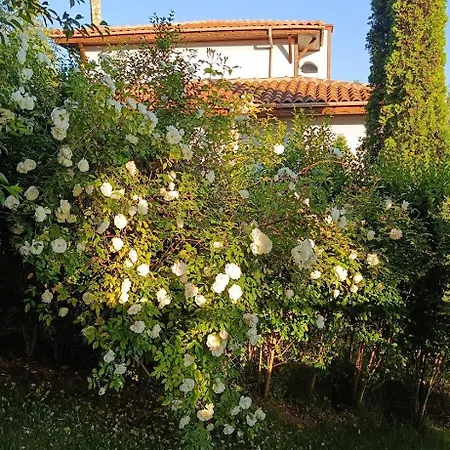 Momino Луксозна вила Avren