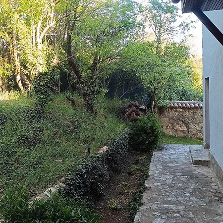 Momino Villa *